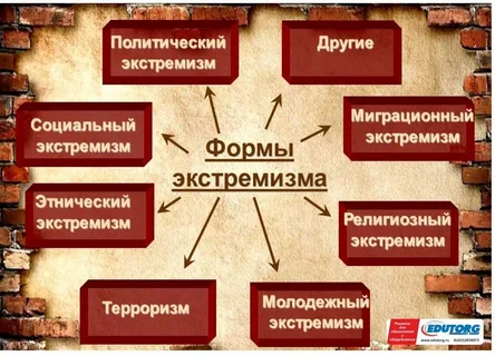 Фотографии летнего лагеря.