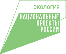 «БумБатл».